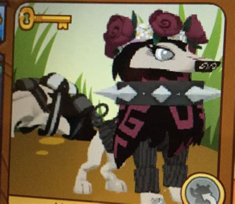 Pin By Spoopypeachmilk On Current Projects In 2024 Animal Jam