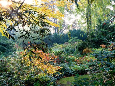 Waldgarten Im Schatten der Bäume GartenFlora