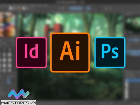 Phần mềm đồ họa là gì Có mấy loại phần mềm đồ họa Tin tức Macstore