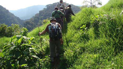 Mount Bisoke Hiking - Visit Rwanda