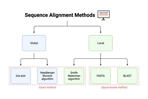 Sequence Alignment Methods | BioRender Science Templates