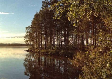 Kostomuksha, Russia 2023: Best Places to Visit - Tripadvisor