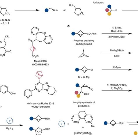 Conversion Of The Boryl Group Of Boryl Bicyclo Pentanes And