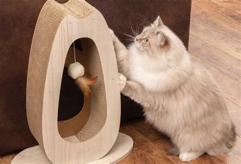 Accueil Accessoires Et Jouets Pour Chat Griffoir Pour Chat Design