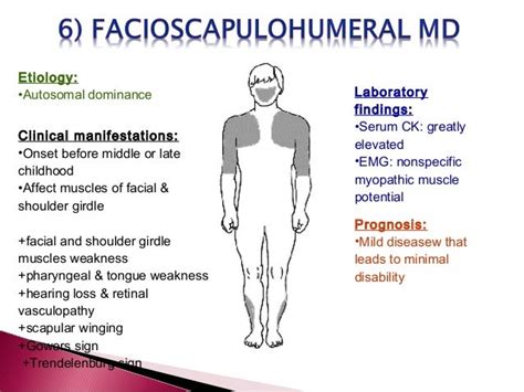 Muscular Dystrophy Types Chart