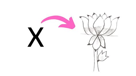 Lotus Flower Drawing From Letter X Easy Lotus Flower Drawing From