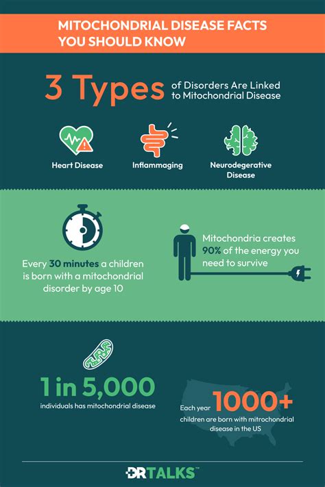 Mitochondrial Disease - Facts You Should Know