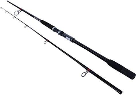 Best Pier Fishing Rods (2021 Review) - Tactical Huntr