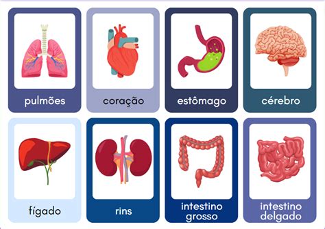 Jogo Da Mem Ria Rg Os Do Corpo Humano