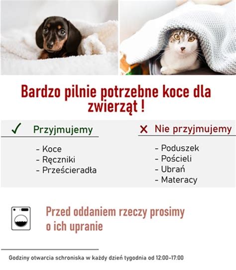 Ze wsparciem dla bezdomnych zwierząt Lwówecki info