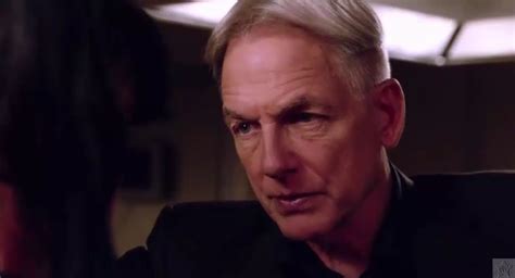 Ncis Gibbs Haircut