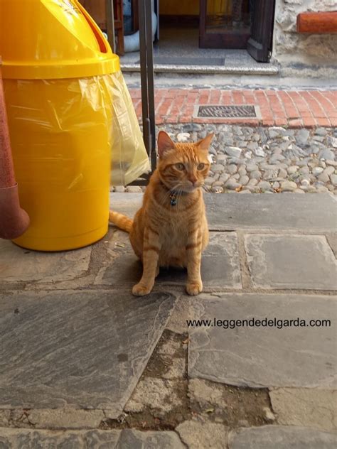 I Luoghi Magici Delle Streghe Di Triora A Passeggio Tra Bagiure E