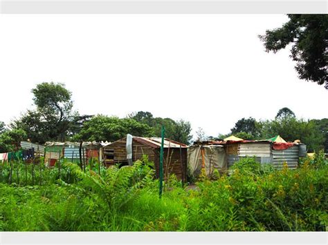 Da In Victor Khanye Municipality Claims Squatters Are Subject To Inhumane Conditions Ridge Times