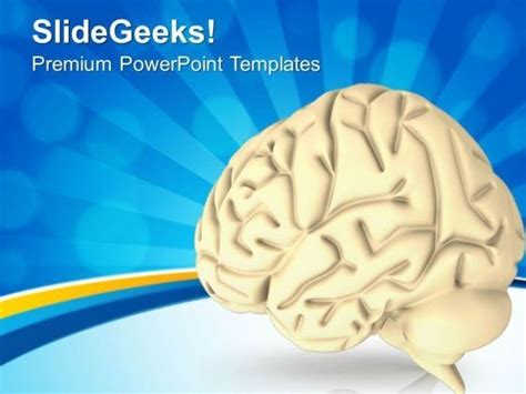 3d Graphics Of Human Brain Powerpoint Templates Ppt Backgrounds For Slides 0613