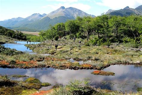 Tierra Del Fuego National Park With Lapataia Bay From Ushuaia: Triphobo