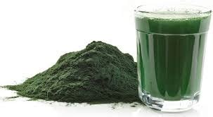 Spirulina Un S Per Alimento Para El Siglo Xxi Afiliacion Gratuita Dxn