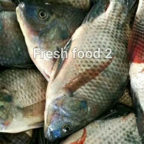 Jual Ikan Mujair Mujaer Hidup Fresh Dan Segar Kg Shopee Indonesia