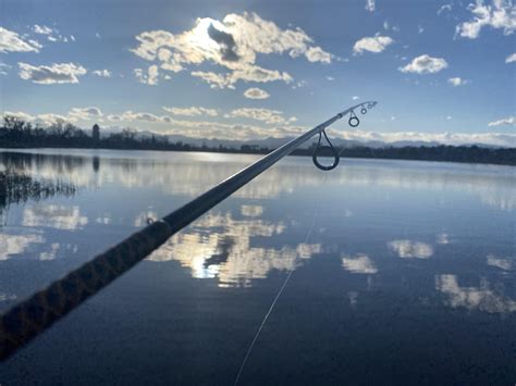 Beautiful afternoon at Berkeley Park : r/COfishing