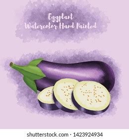 Eggplant Watercolor Hand Painted Stock Vector Royalty Free 1423924934