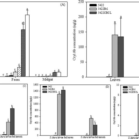 Cry Ab Concentrations In The Corn And S Litura Larvae A Cry Ab