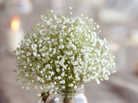 Significado Das Flores Mais Usadas No Casamento