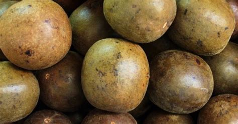 difference  monk fruit classic  golden