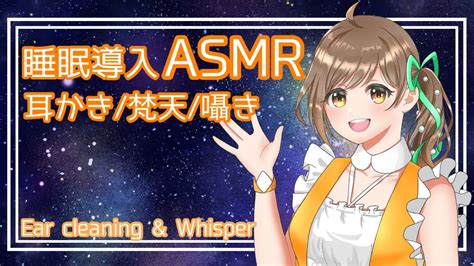 睡眠用asmr 梵天耳かき耳マッサージ Ear Cleaning And Massage Asmr 治愈你的耳塞 Youtube