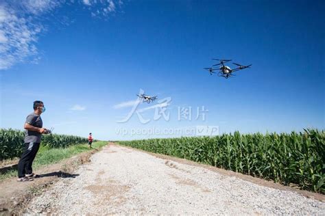 山东广饶：植保无人机科技防治 确保秋粮丰产丰收 人民图片网