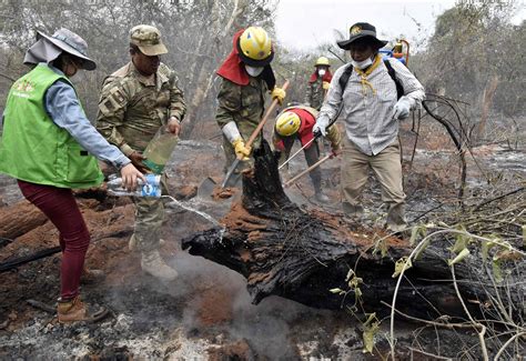 Selva Boliviana Queda Devastada Por Los Incendios Fuego Arrasa Sin