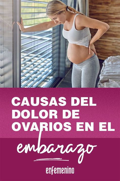 Dolor De Ovarios E Inflamaci N Abdominal Causas Y Tratamientos