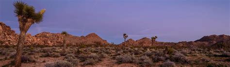 Deserts (U.S. National Park Service)