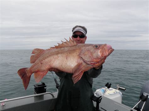 Todds Extreme Fishing La Push 7 16 And 7 17 11