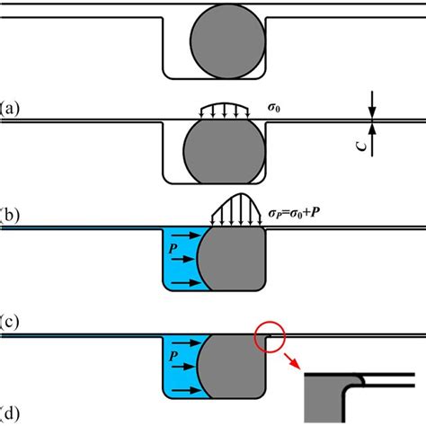 Schematic Of Sealing Mechanism Of Elastomer O Rings A Free Condition