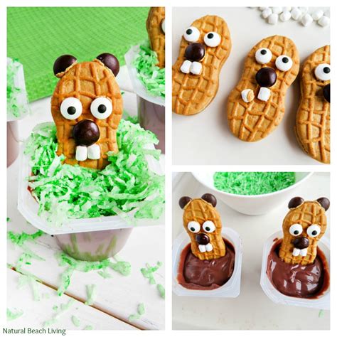 The Cutest Groundhog Day Snack Idea for Kids - Natural Beach Living