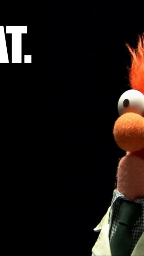 Muppets Beaker Wallpaper 73 Images