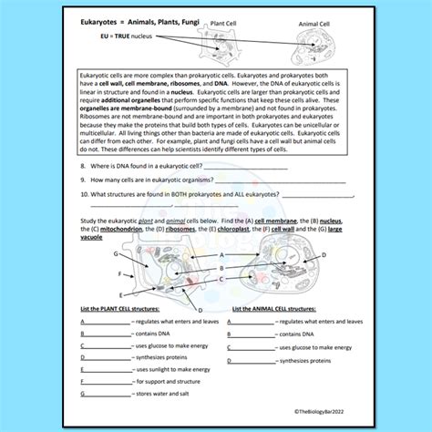 Eukaryotic Cell Structure Worksheet