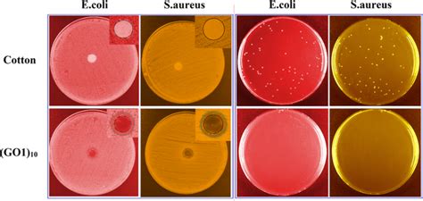 The Photographs Of The Zone Of Inhibition Left And The Count Of Plate