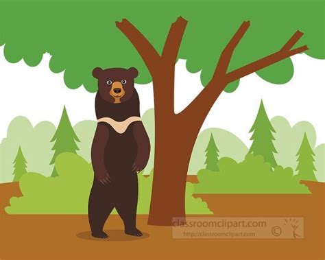 Bear Clipart Asiatic Black Bear Standing In Front Of A Tree Clip Art