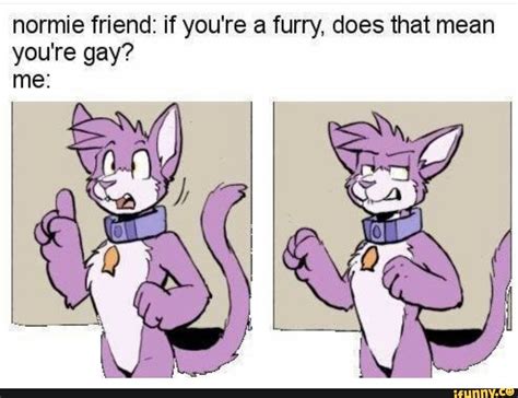 Pin On Funny Furries Memes