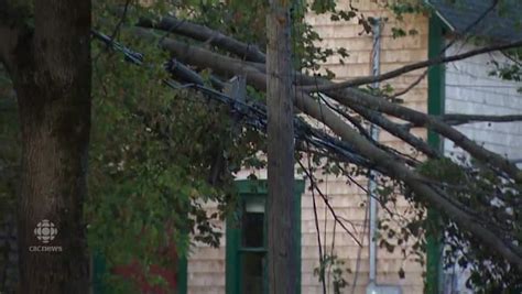 Winds Uproot Trees Cause Power Outages Cbcca