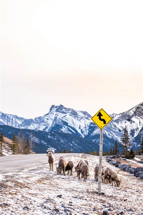 Visiting Banff In November Heres All You Need To Know