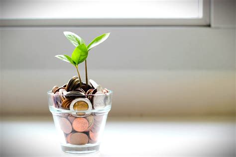 Smart Investment Strategies: A Guide for Business Owners - Taxation