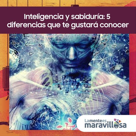 Inteligencia Y Sabidur A Diferencias Que Te Gustar Conocer