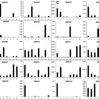 Expression Patterns Of Wrky Genes Under Drought Stress The Y Axis