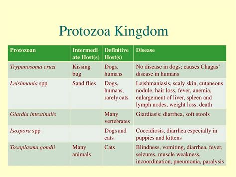 Ppt Parasites Powerpoint Presentation Free Download Id 4436985