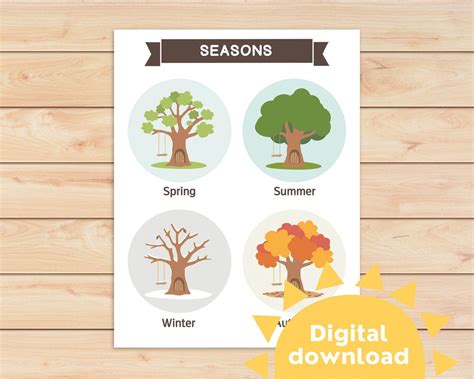 4 Seasons Trees Poster For Kids Four Seasons Name Chart Season List In