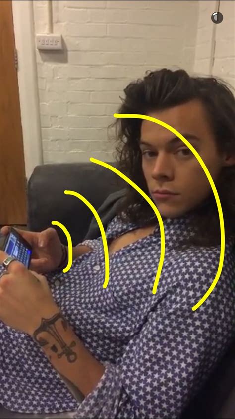 Pin By Michelle Koehler On One Direction Style Harry Styles Snapchat Harry Styles