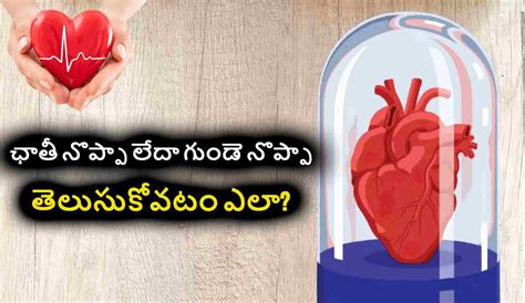 Heart Attack ఏ రకమైన గుండె నొప్పి తీవ్రమైనది ఛాతీ నొప్పా లేదా గుండె