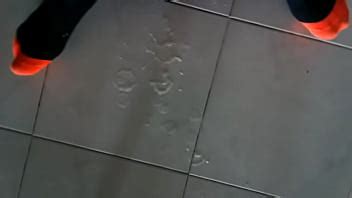 Corridon Paja XVIDEOS