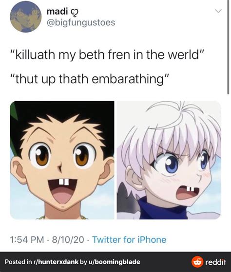 Random Hxh Comics Memes That I Cant Delete From My Memory Artofit